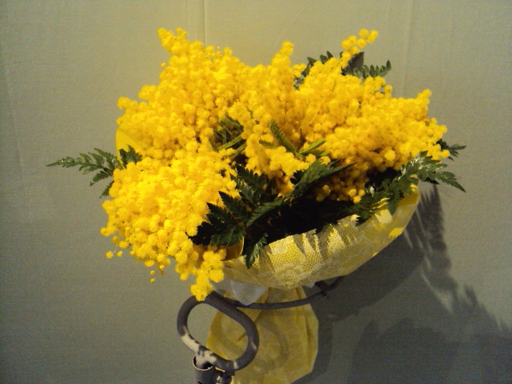 Foto Bouquet di mimose