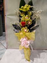 ramo di orchidea Cymbidium