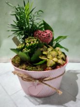 Composizione in cesto rosa