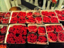 Mazzo rose rosse