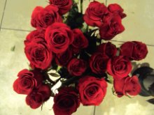 mazzo rose rosse cm 60