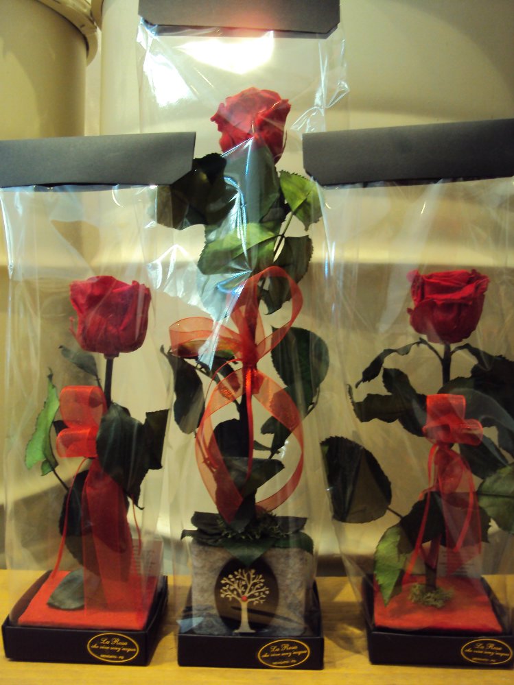 Rosa stabilizzata con gambo e piedistallo
