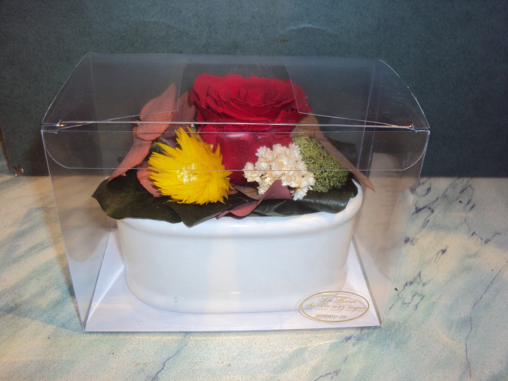 Rosa stabilizzata doppia