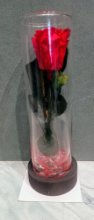 Bauletto con rose rosse stabilizzate