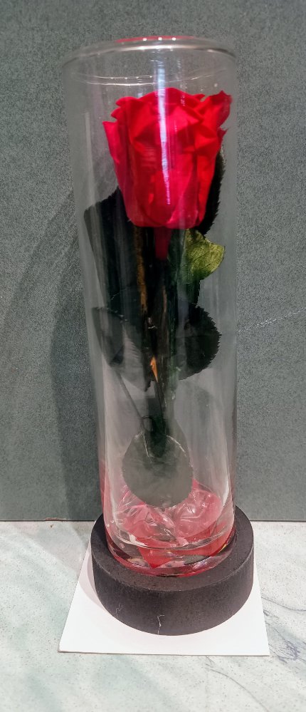 Bauletto con rose rosse stabilizzate
