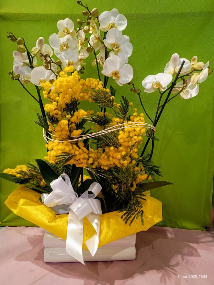 Foto Composizione phalaenopsis e mimosa