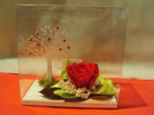 Rosa rossa stabilizzata