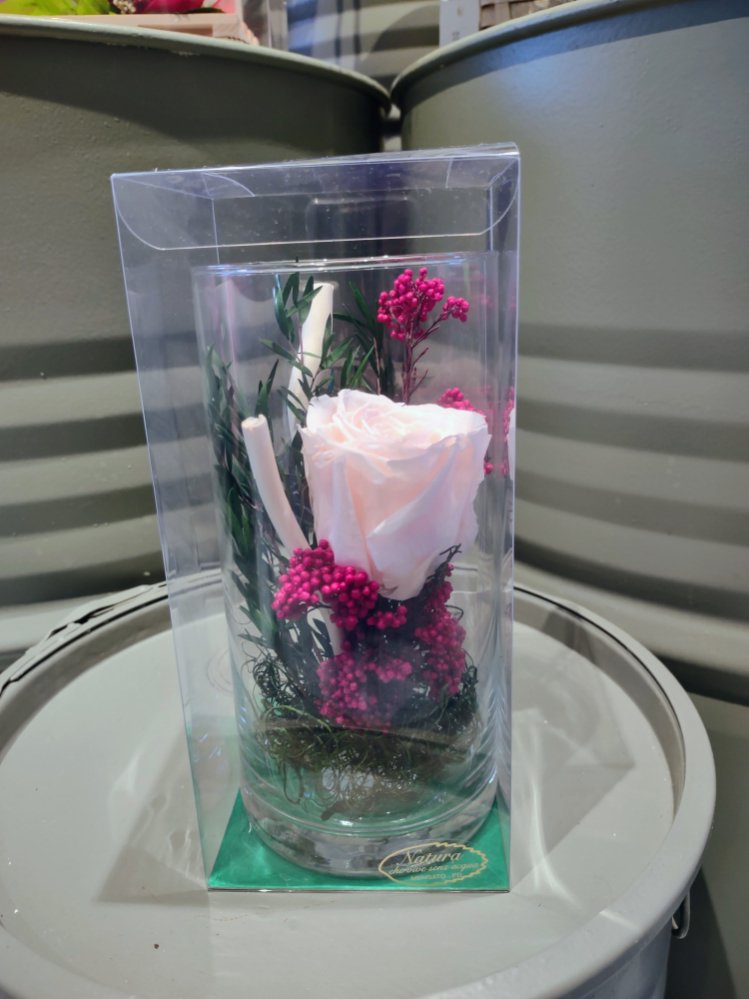 Foto Vaso vetro con rosa stabilizzata