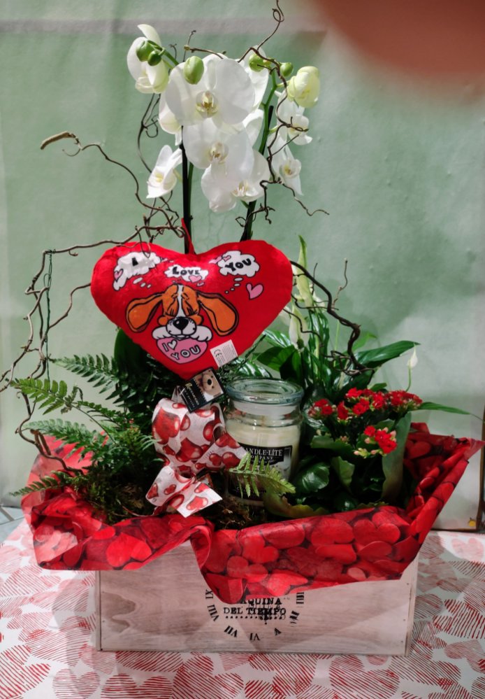 Composizione mista di piantine San Valentino