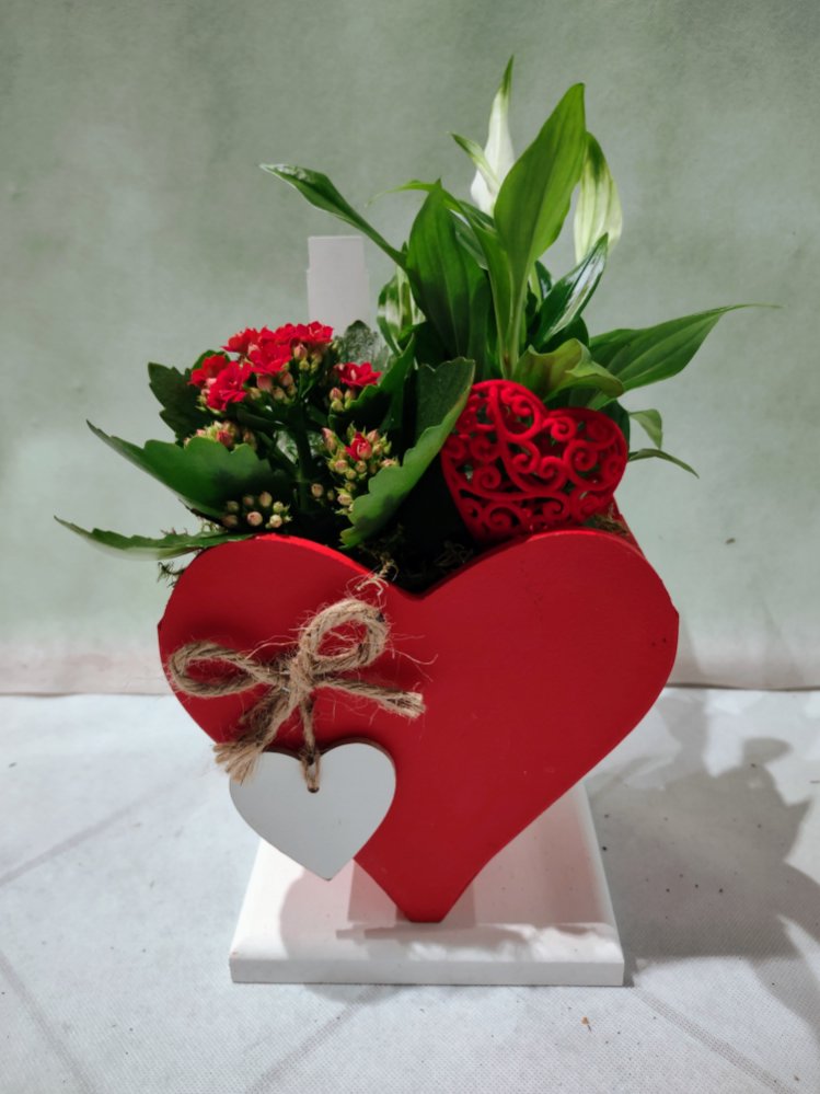 Composizione cuore