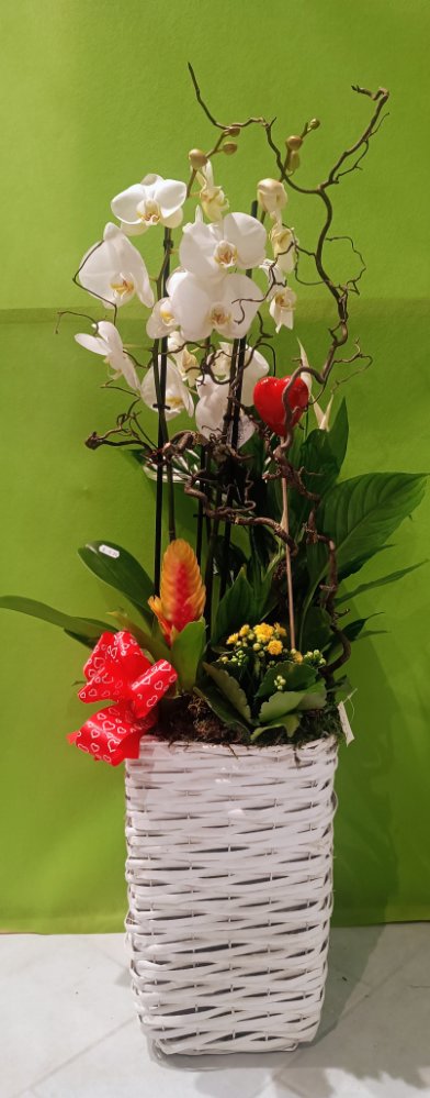 Foto Composizione in cesto