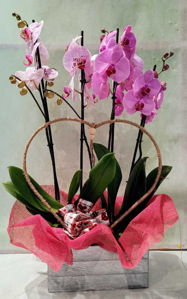 Foto Cassetta con orchidee colorate
