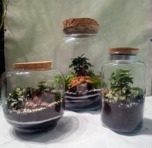 Terrarium " I giardini di Giulia"